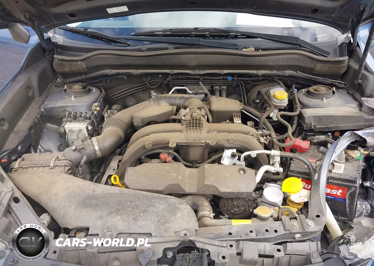 2017 Subaru Forester 2.5I Premium VIN:JF2SJAEC1HH574412 - 10