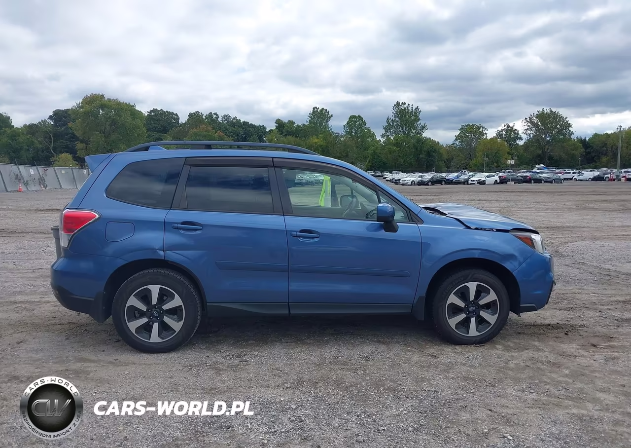 2017 Subaru Forester 2.5I Premium VIN:JF2SJAEC1HH574412 - 13
