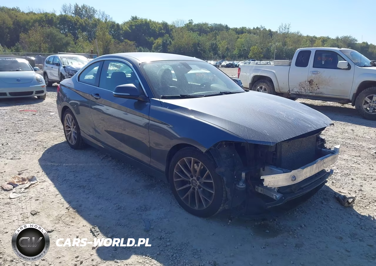 2014 BMW 228I