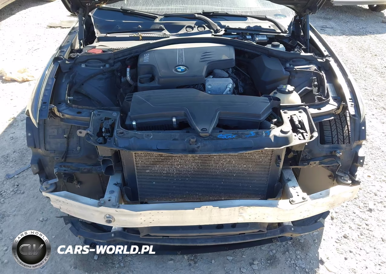 2014 BMW 228I VIN:WBA1F5C52EV256364 - 10