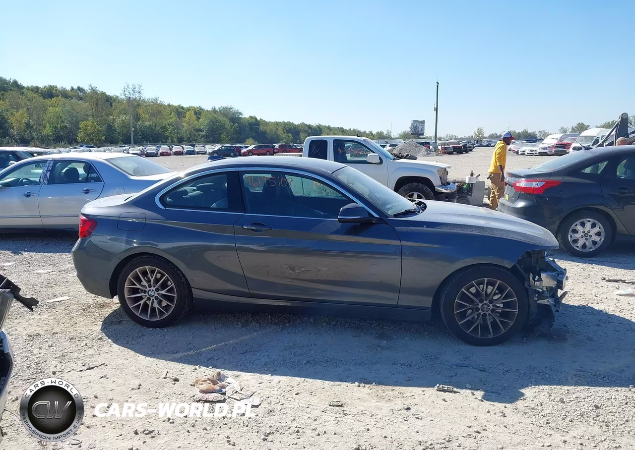 2014 BMW 228I VIN:WBA1F5C52EV256364 - 14