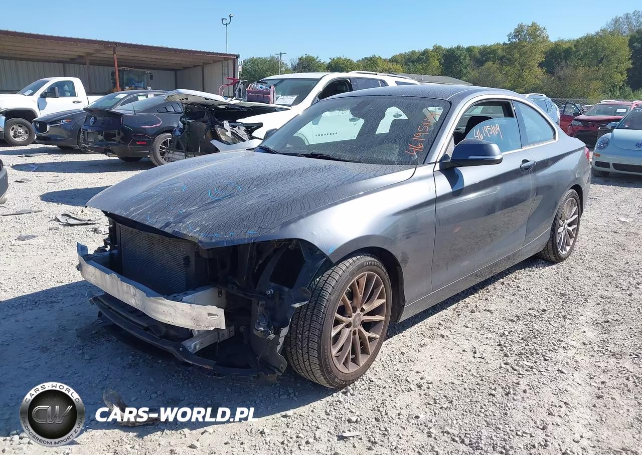 2014 BMW 228I VIN:WBA1F5C52EV256364 - 2
