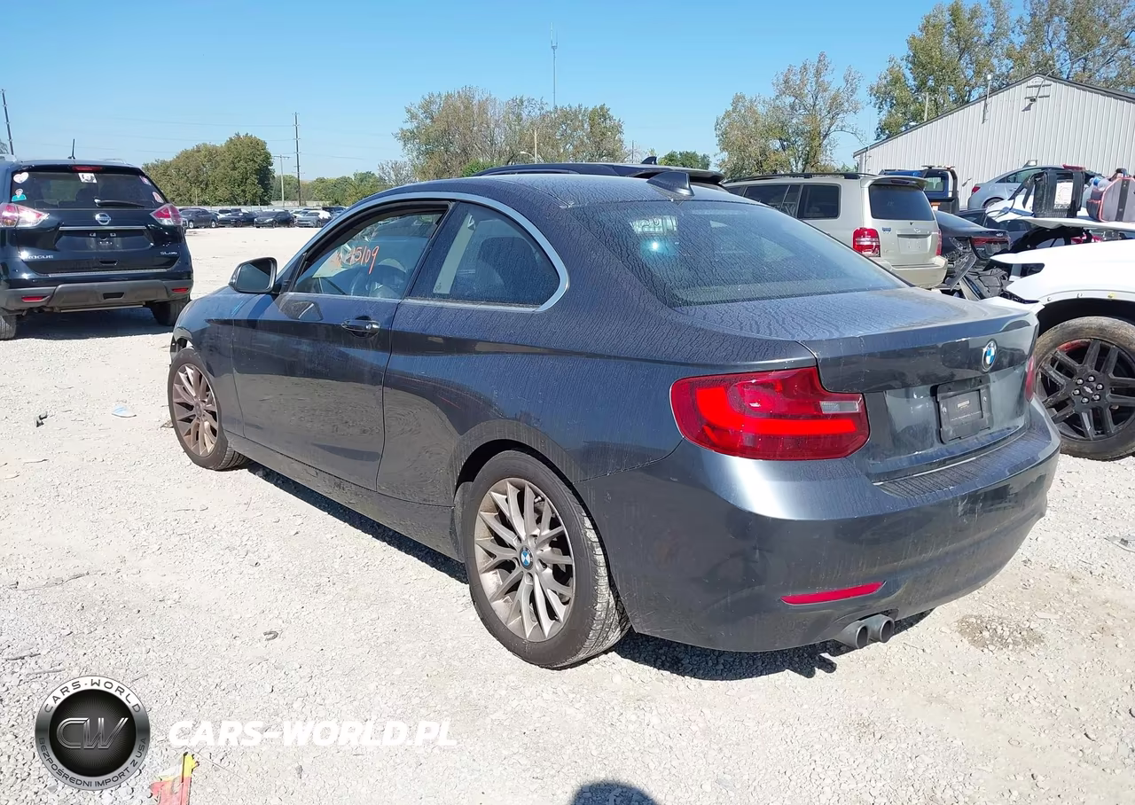 2014 BMW 228I VIN:WBA1F5C52EV256364 - 3