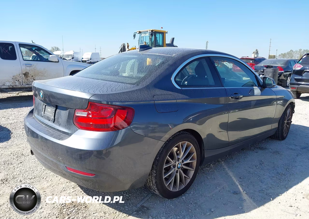 2014 BMW 228I VIN:WBA1F5C52EV256364 - 4
