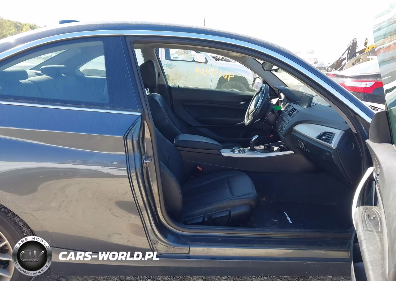 2014 BMW 228I VIN:WBA1F5C52EV256364 - 5