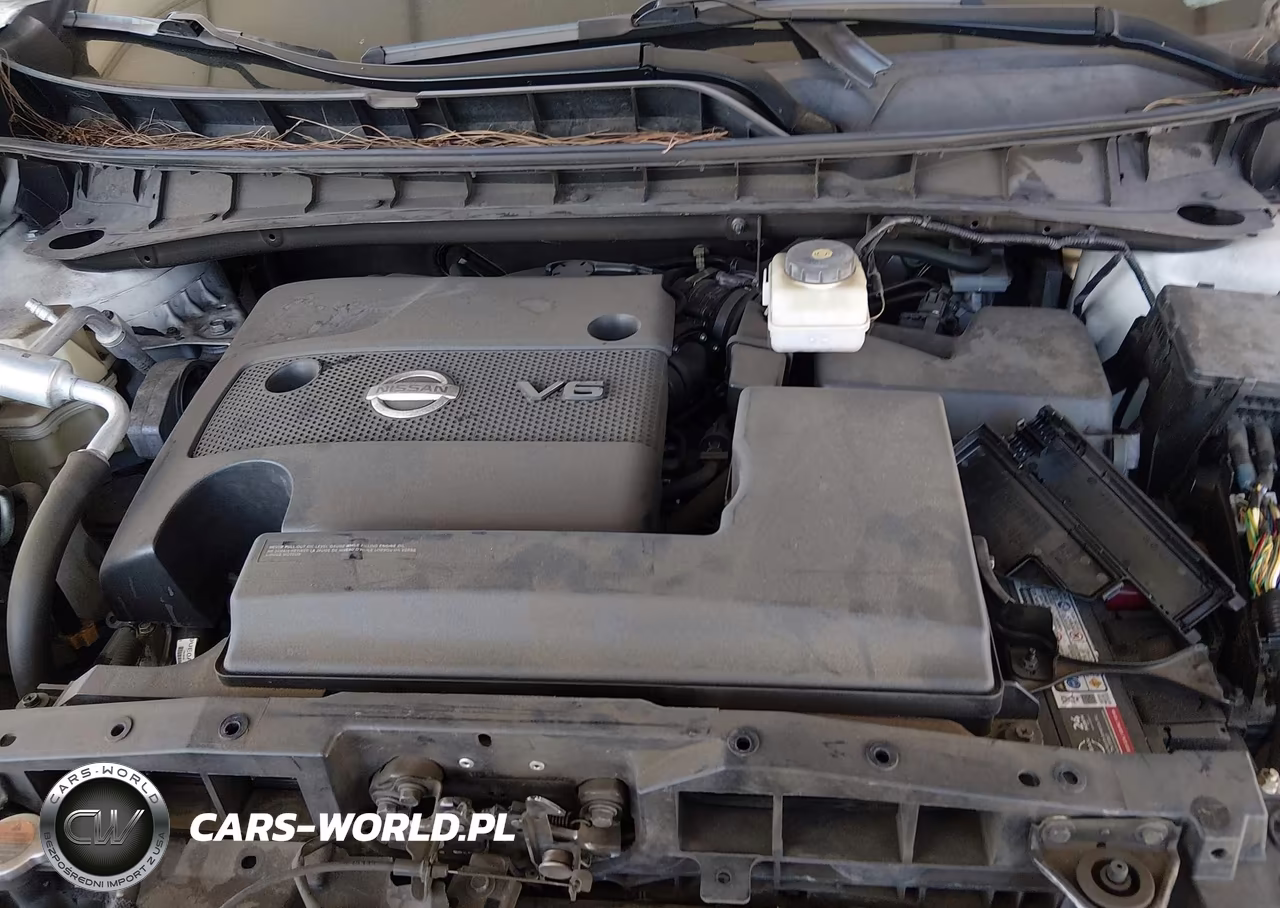 2019 Nissan Murano Platinum VIN:5N1AZ2MS9KN114839 - 10