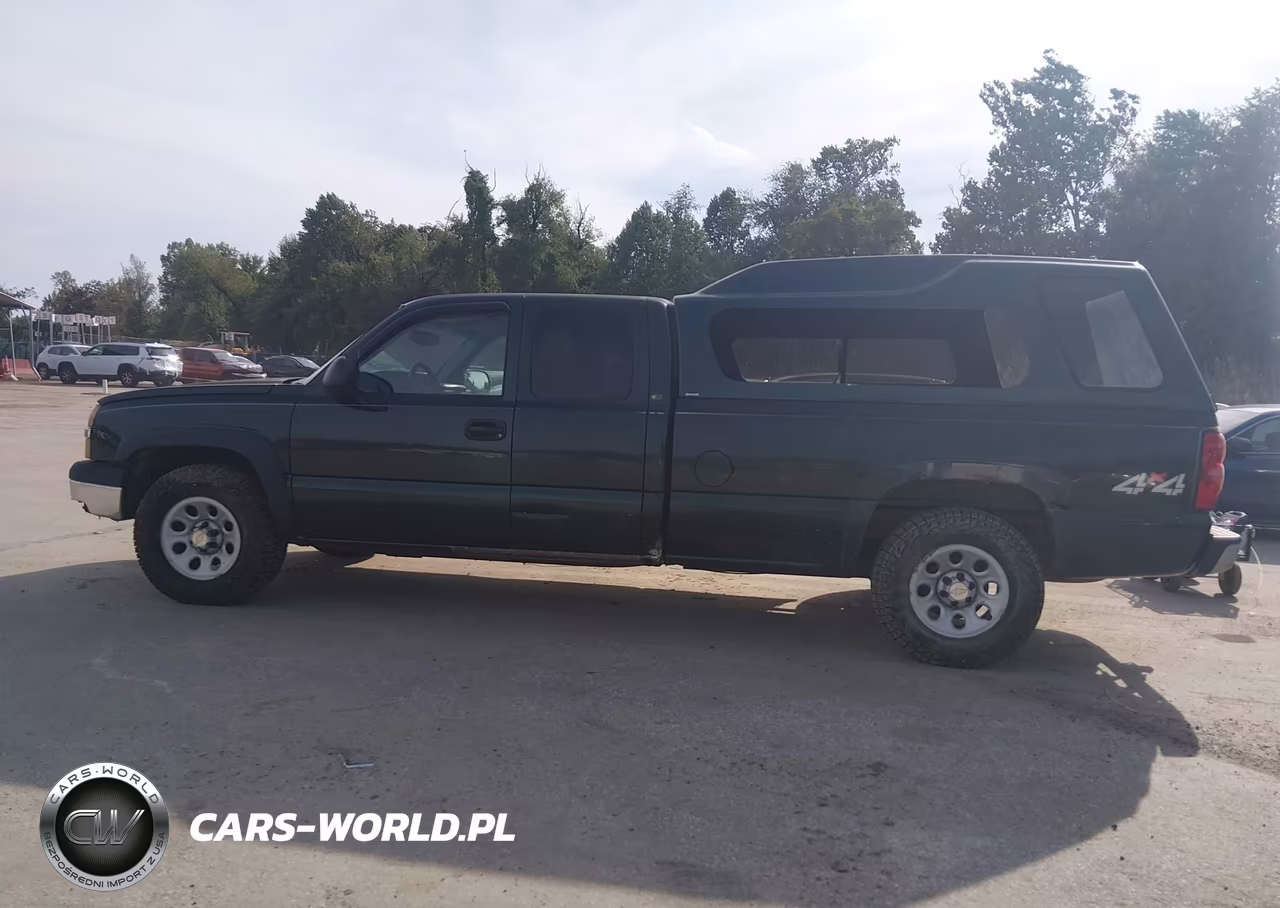 2005 Chevrolet Silverado 1500 Work Truck VIN:1GCEK19T45E253383 - 6