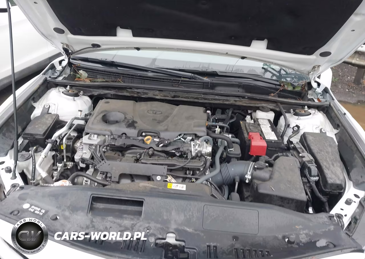 2022 Toyota Camry Xse VIN:4T1K61AK7NU010064 - 10
