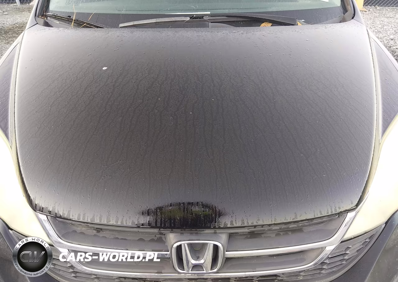 2010 Honda Cr-V Lx VIN:3CZRE3H36AG700654 - 10