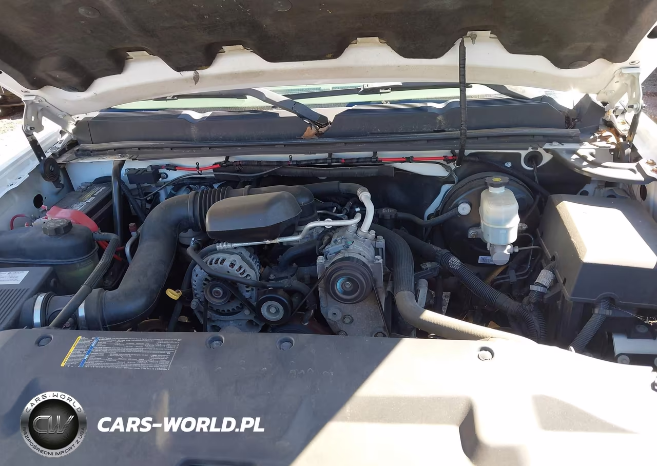 2008 Chevrolet Silverado 1500 Work Truck VIN:1GCEC19X18Z112042 - 10