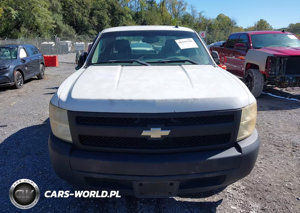 2008 Chevrolet Silverado 1500 Work Truck VIN:1GCEC19X18Z112042 - 12