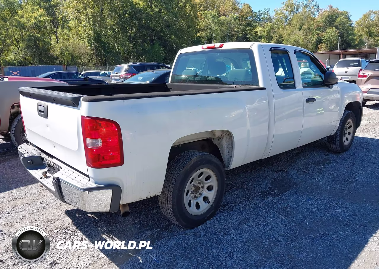 2008 Chevrolet Silverado 1500 Work Truck VIN:1GCEC19X18Z112042 - 4
