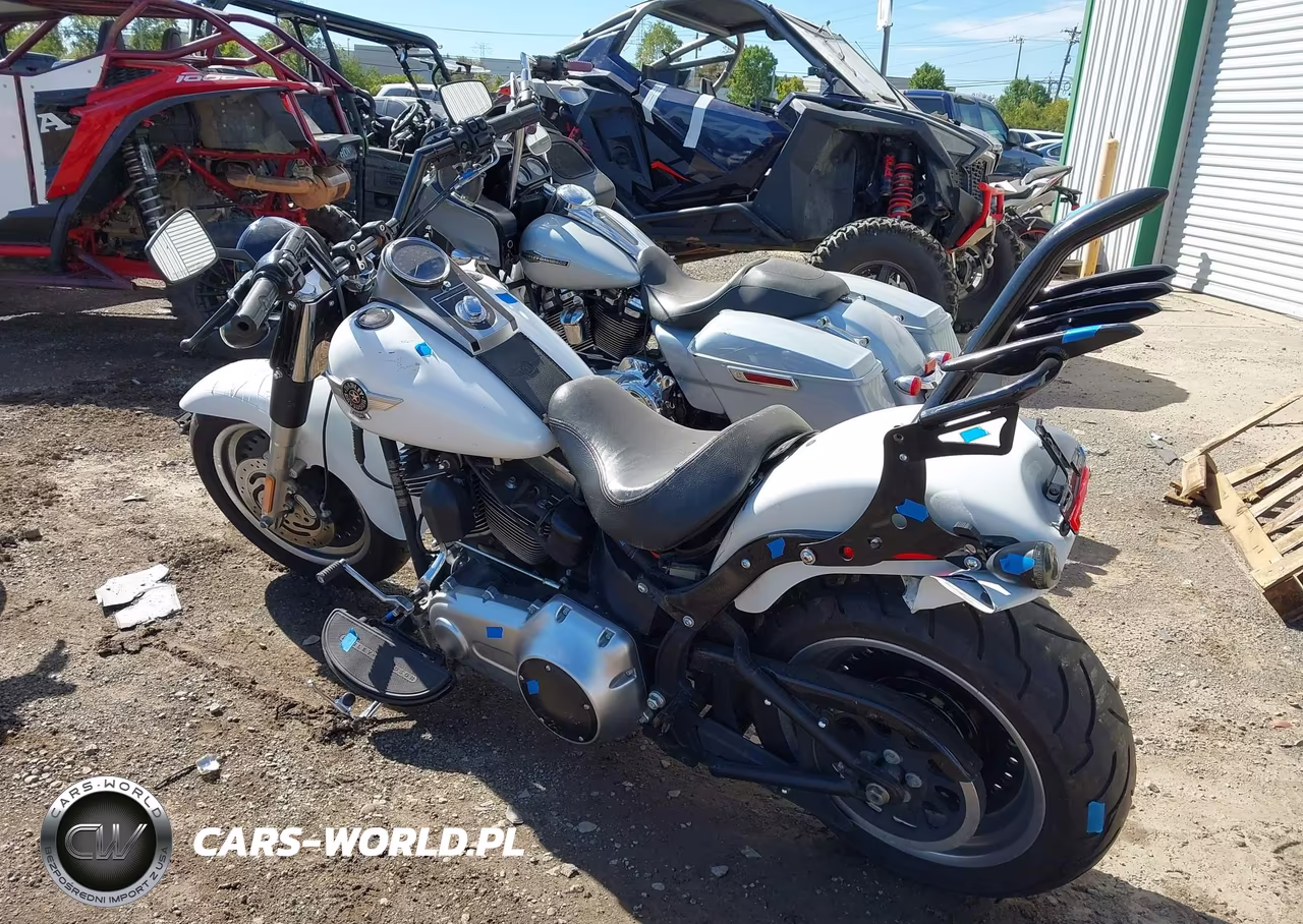 2011 Harley-Davidson Flstfb VIN:1HD1JN517BB042011 - 3
