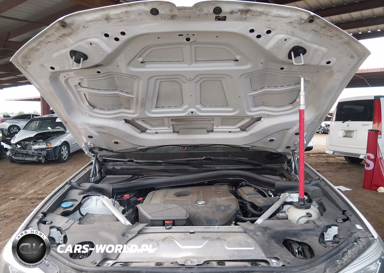 2019 BMW X3 Sdrive30I VIN:5UXTR7C55KLF31023 - 10