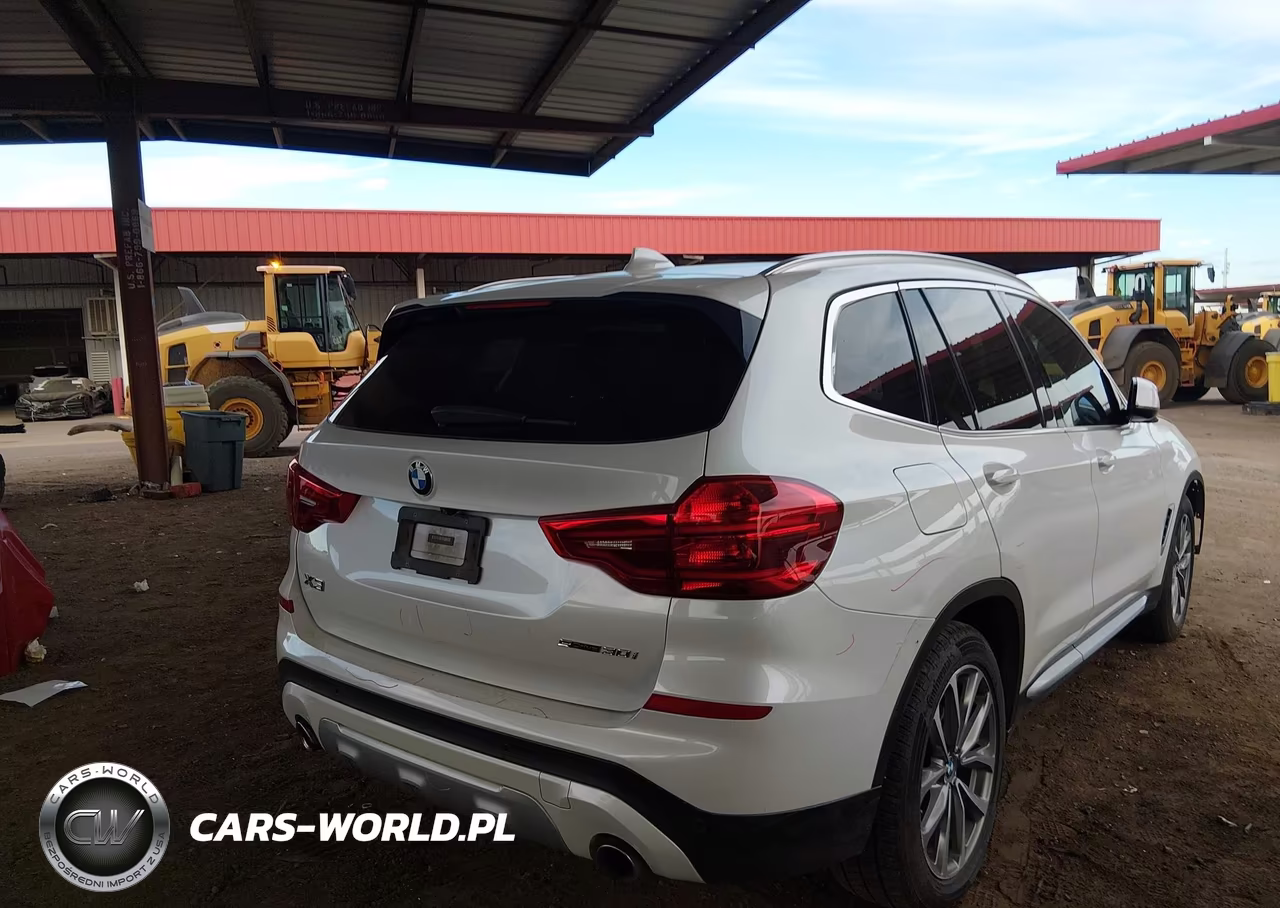 2019 BMW X3 Sdrive30I VIN:5UXTR7C55KLF31023 - 4