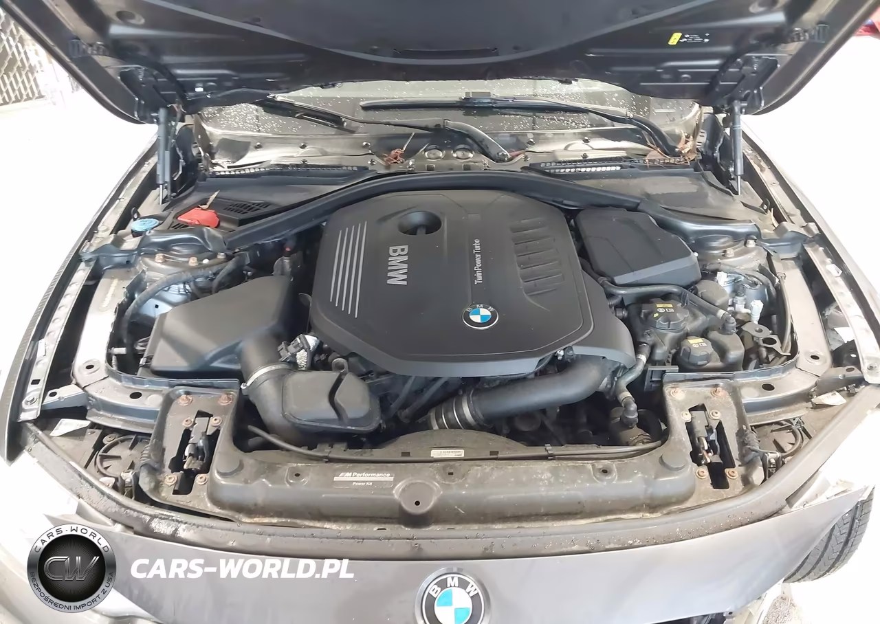2017 BMW 440I Gran Coupe xDrive VIN:WBA4E5C56HG189177 - 10
