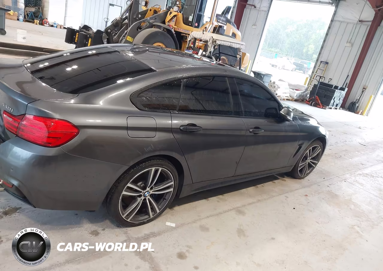 2017 BMW 440I Gran Coupe xDrive VIN:WBA4E5C56HG189177 - 13