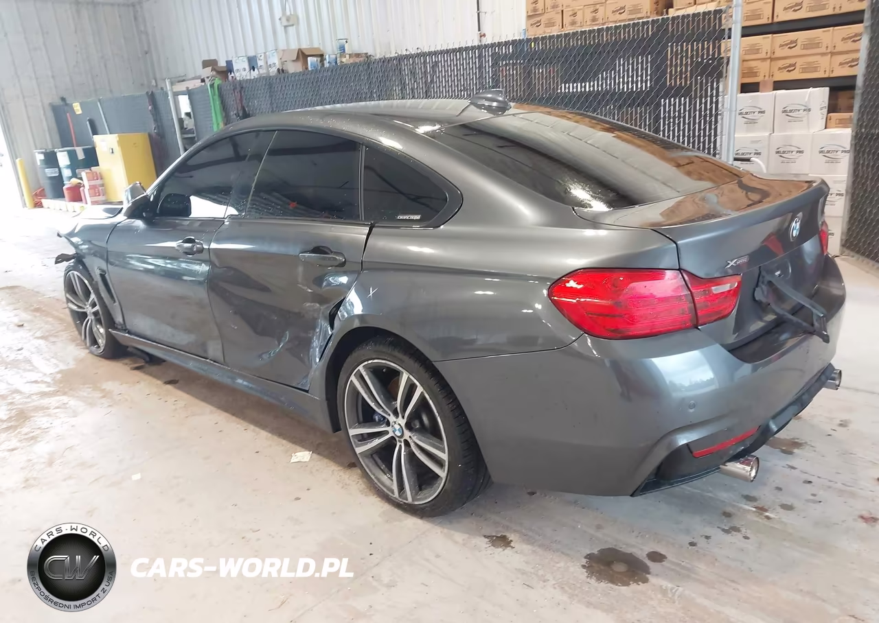 2017 BMW 440I Gran Coupe xDrive VIN:WBA4E5C56HG189177 - 19