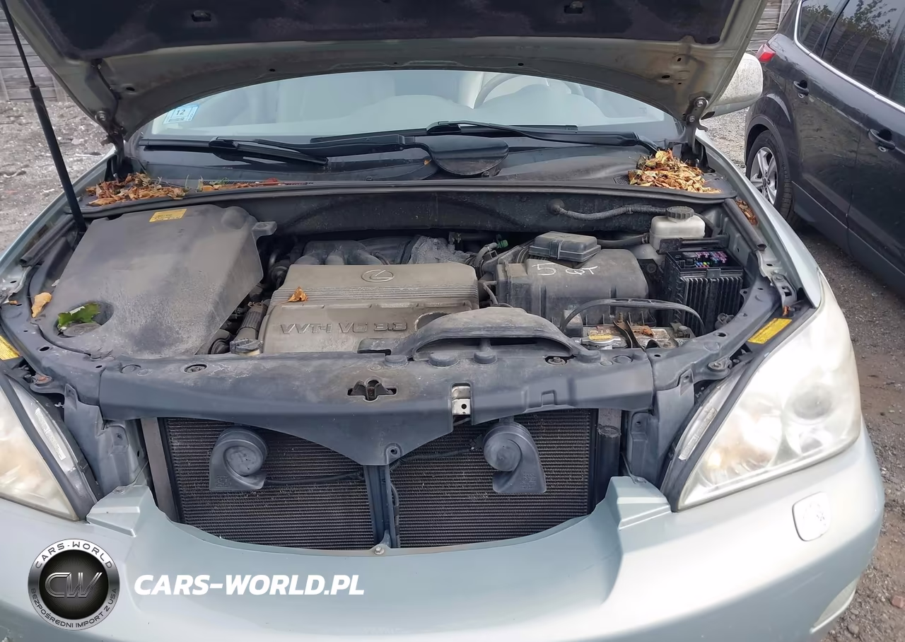 2004 Lexus Rx 330 VIN:2T2HA31U84C010432 - 10
