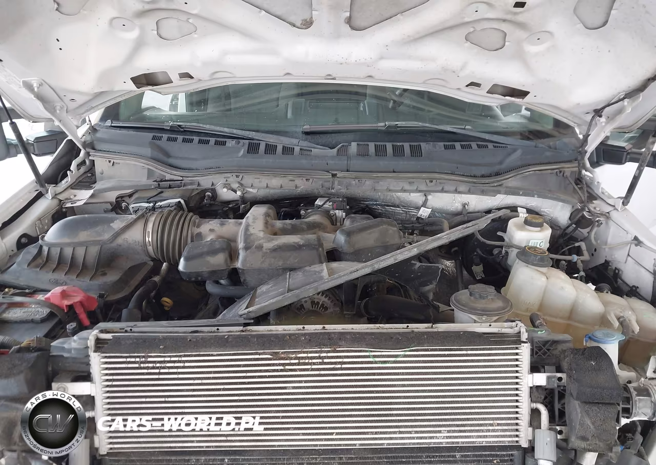 2019 Ford F-250 Xlt VIN:1FT7W2B66KEE99516 - 10