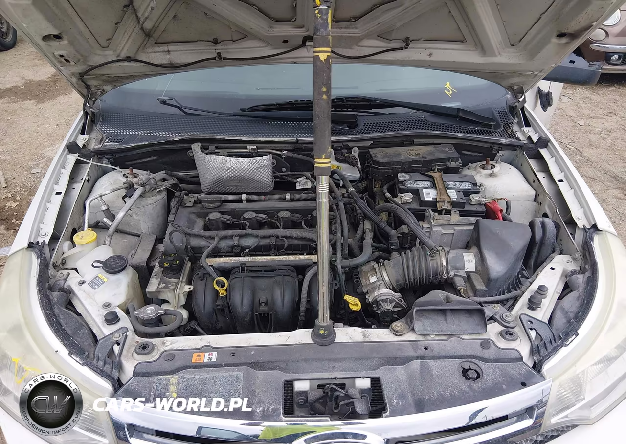 2010 Ford Focus Se VIN:1FAHP3FNXAW183785 - 10