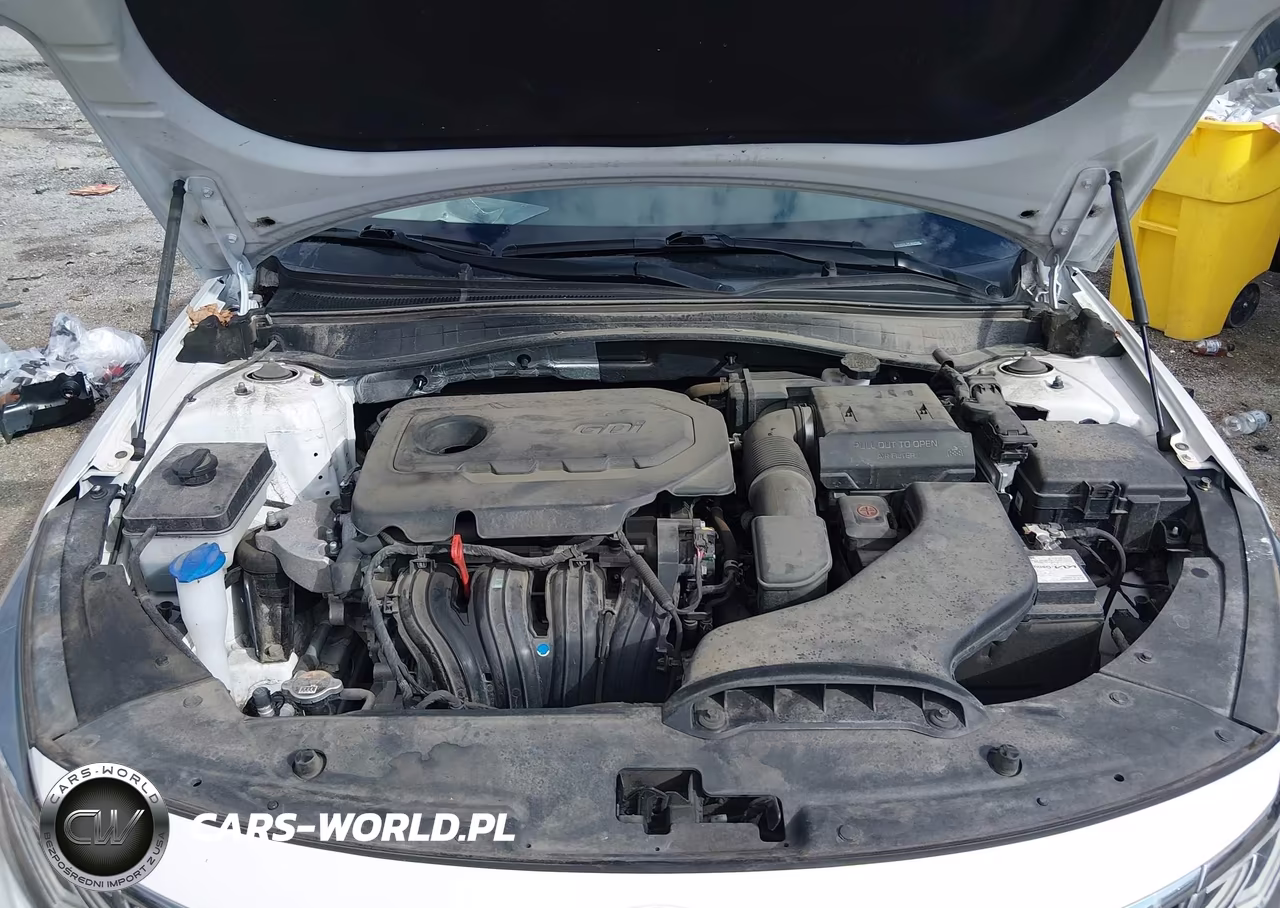 2020 Kia Optima Lx VIN:5XXGT4L34LG440566 - 10