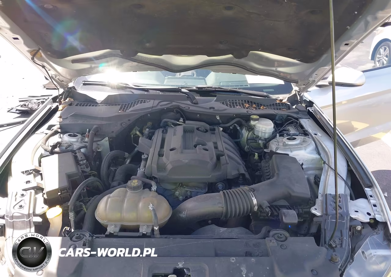 2019 Ford Mustang Ecoboost VIN:1FA6P8TH8K5114720 - 10