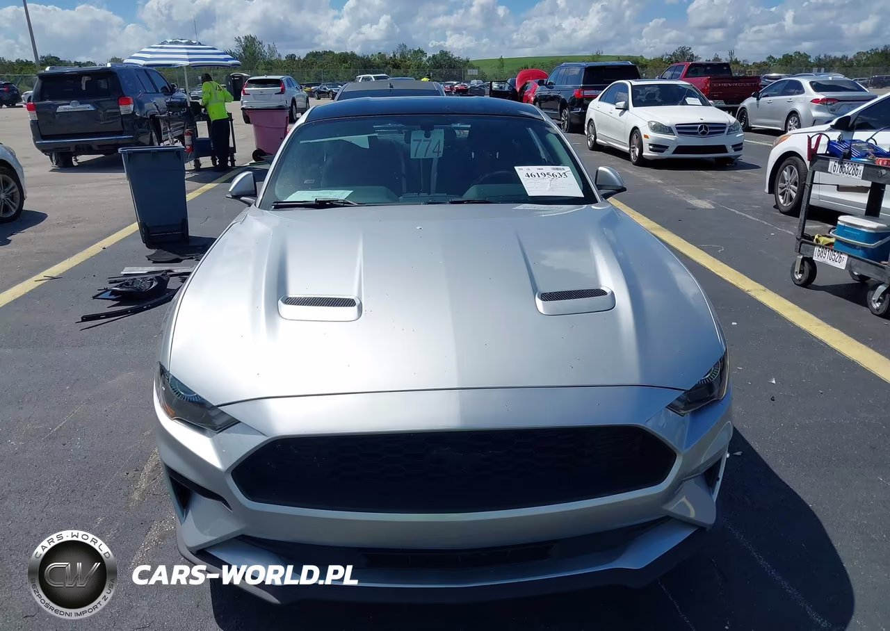 2019 Ford Mustang Ecoboost VIN:1FA6P8TH8K5114720 - 13