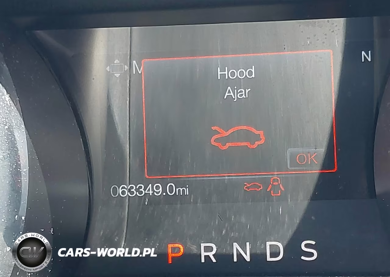 2019 Ford Mustang Ecoboost VIN:1FA6P8TH8K5114720 - 16