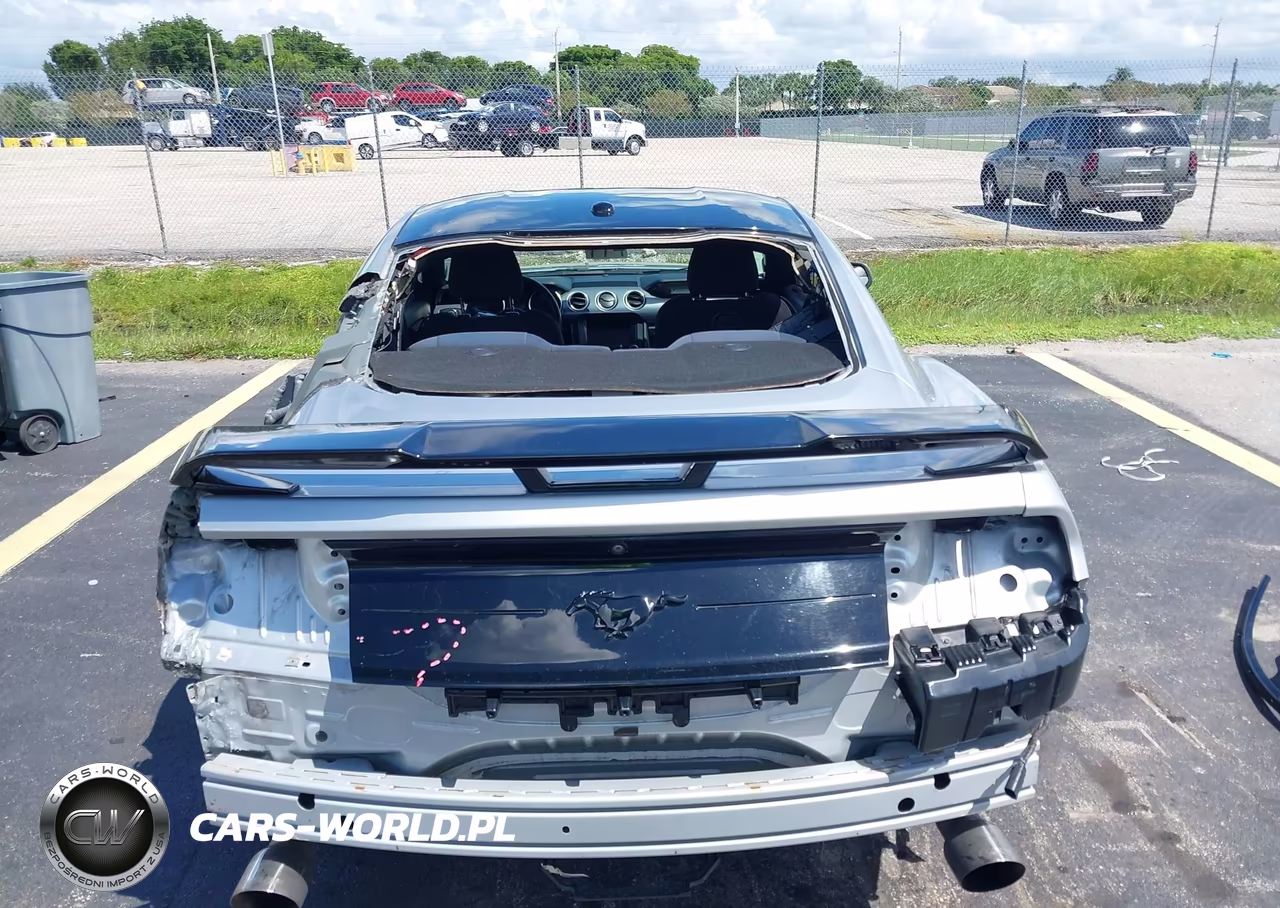 2019 Ford Mustang Ecoboost VIN:1FA6P8TH8K5114720 - 17