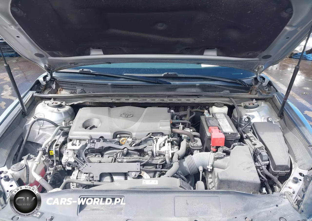 2020 Toyota Camry Le VIN:4T1C11AK4LU999179 - 10