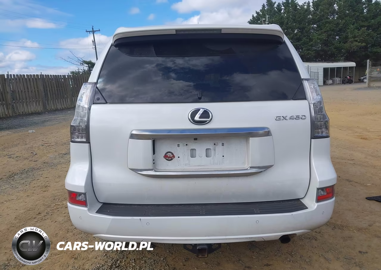 2021 Lexus Gx 460 Premium VIN:JTJAM7BX4M5296447 - 17