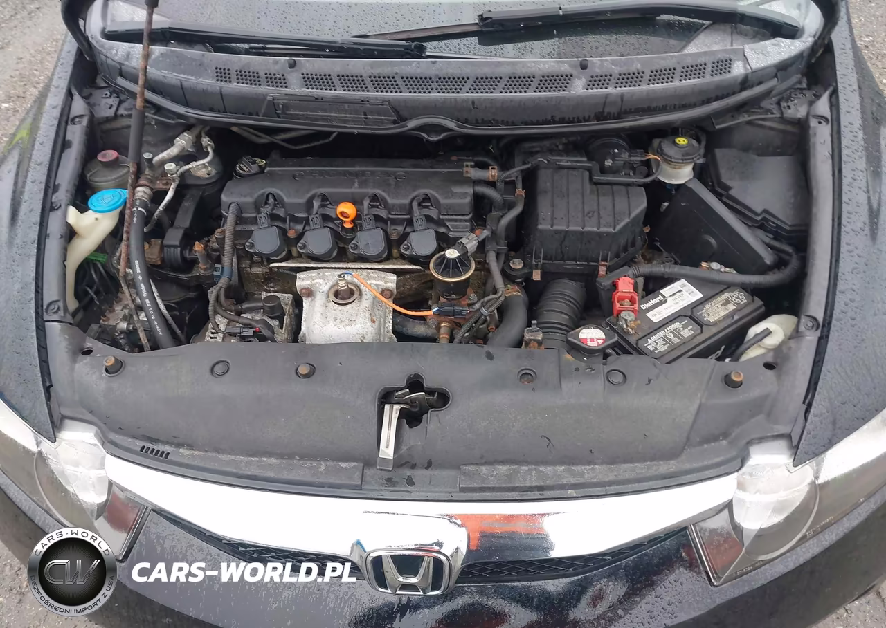 2009 Honda Civic Lx VIN:2HGFA165X9H338869 - 10