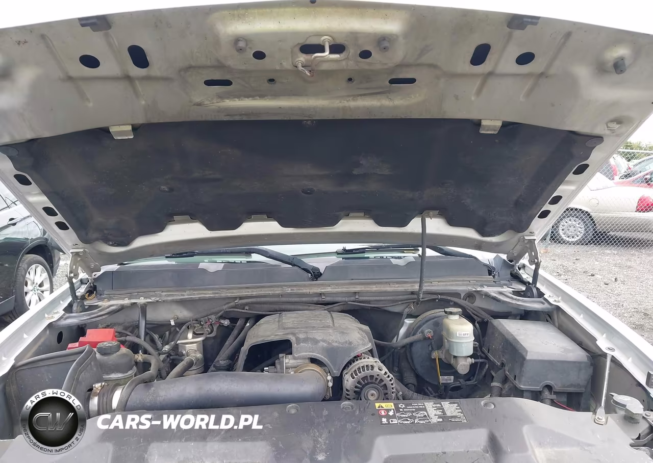 2010 Chevrolet Silverado 1500 Lt VIN:3GCRKSE33AG141092 - 10