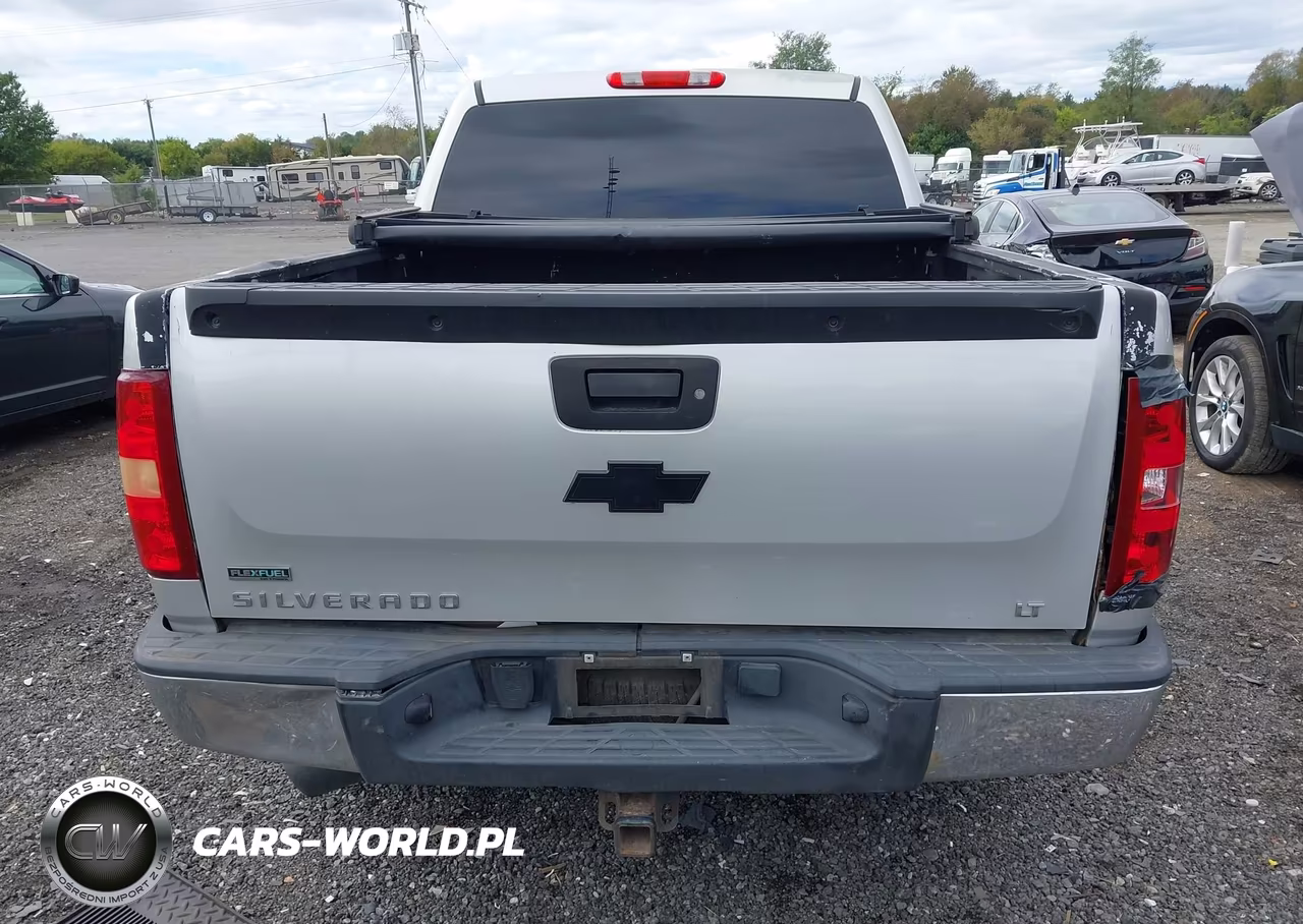 2010 Chevrolet Silverado 1500 Lt VIN:3GCRKSE33AG141092 - 16