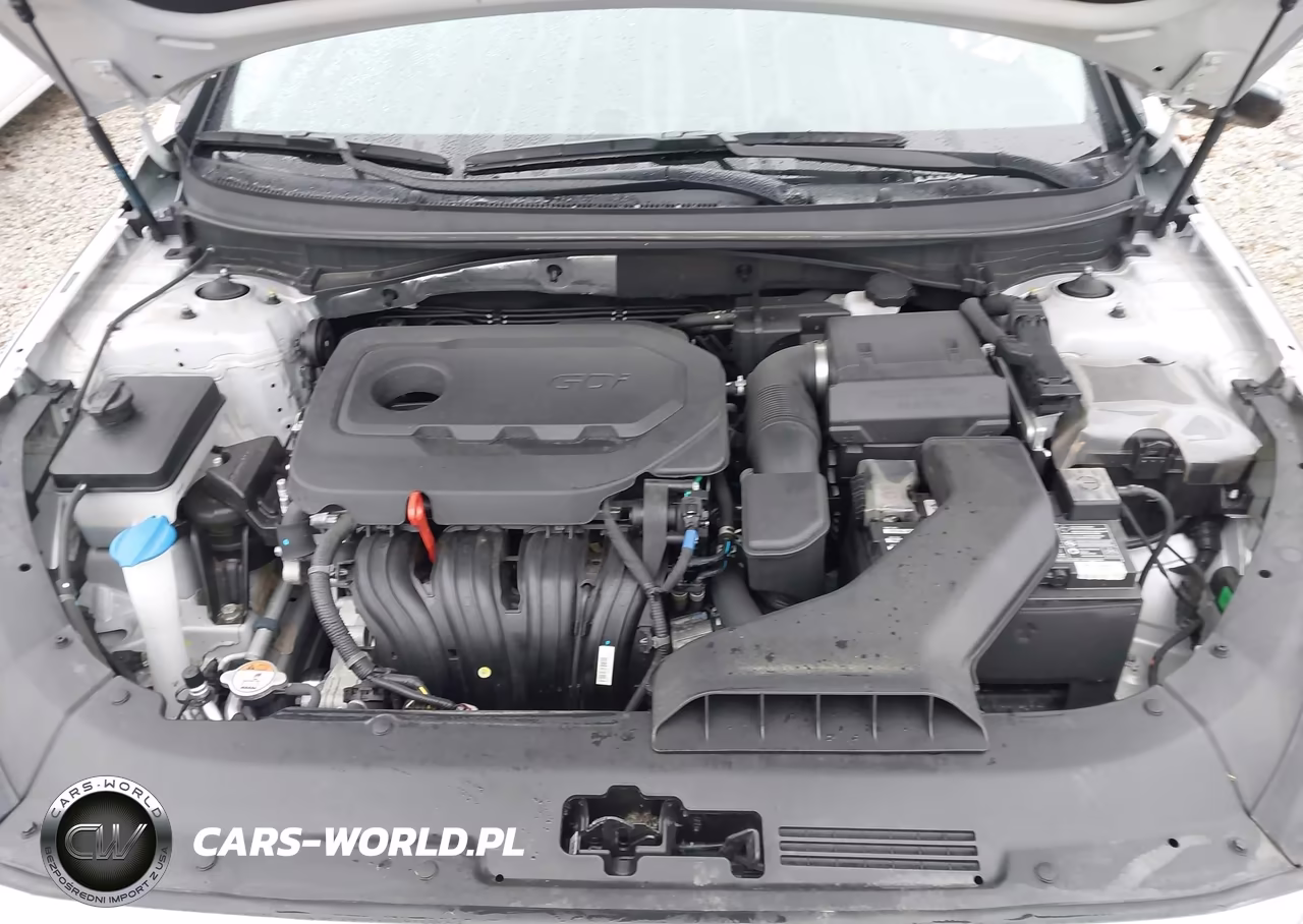 2019 Hyundai Sonata Limited VIN:5NPE34AF1KH811917 - 10