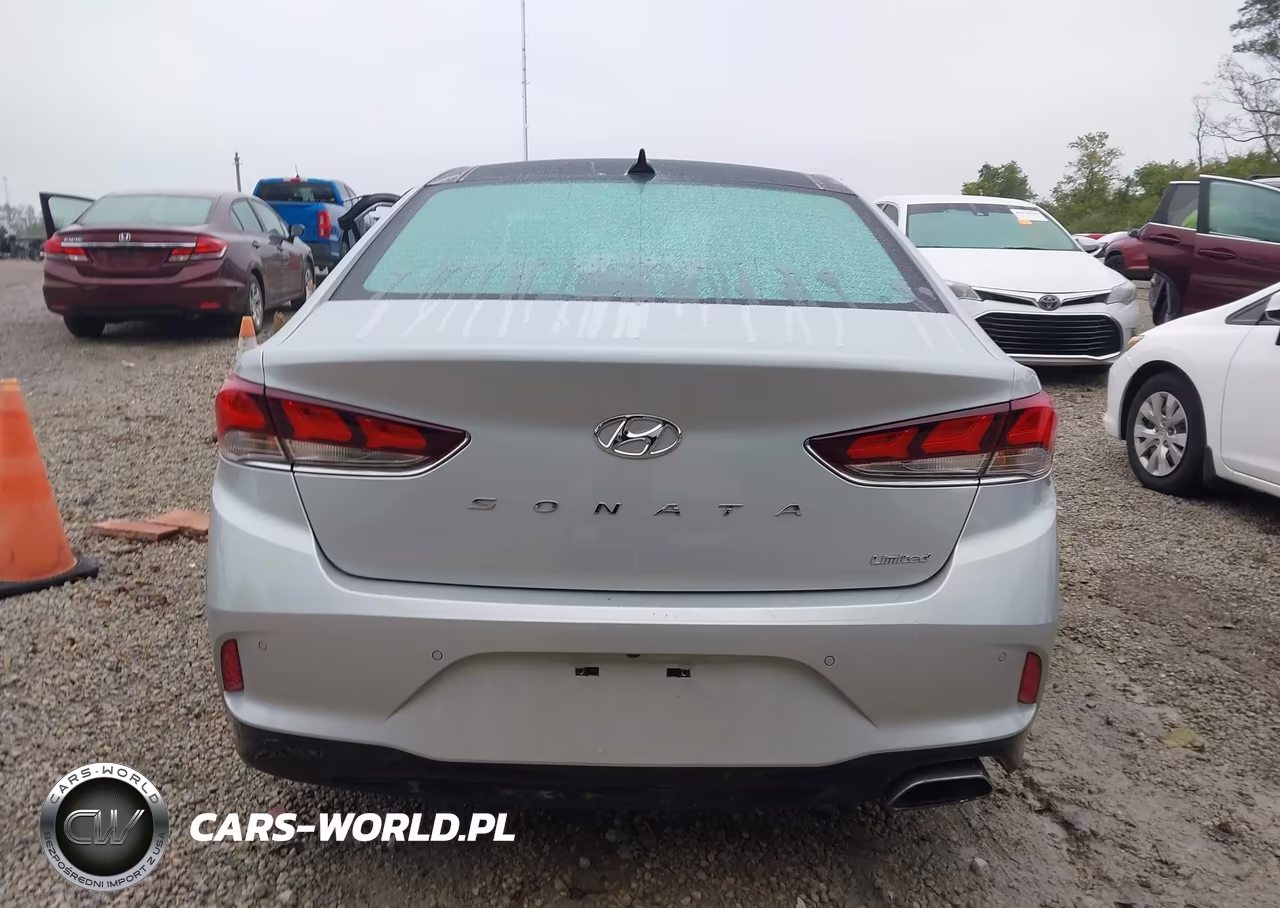 2019 Hyundai Sonata Limited VIN:5NPE34AF1KH811917 - 17