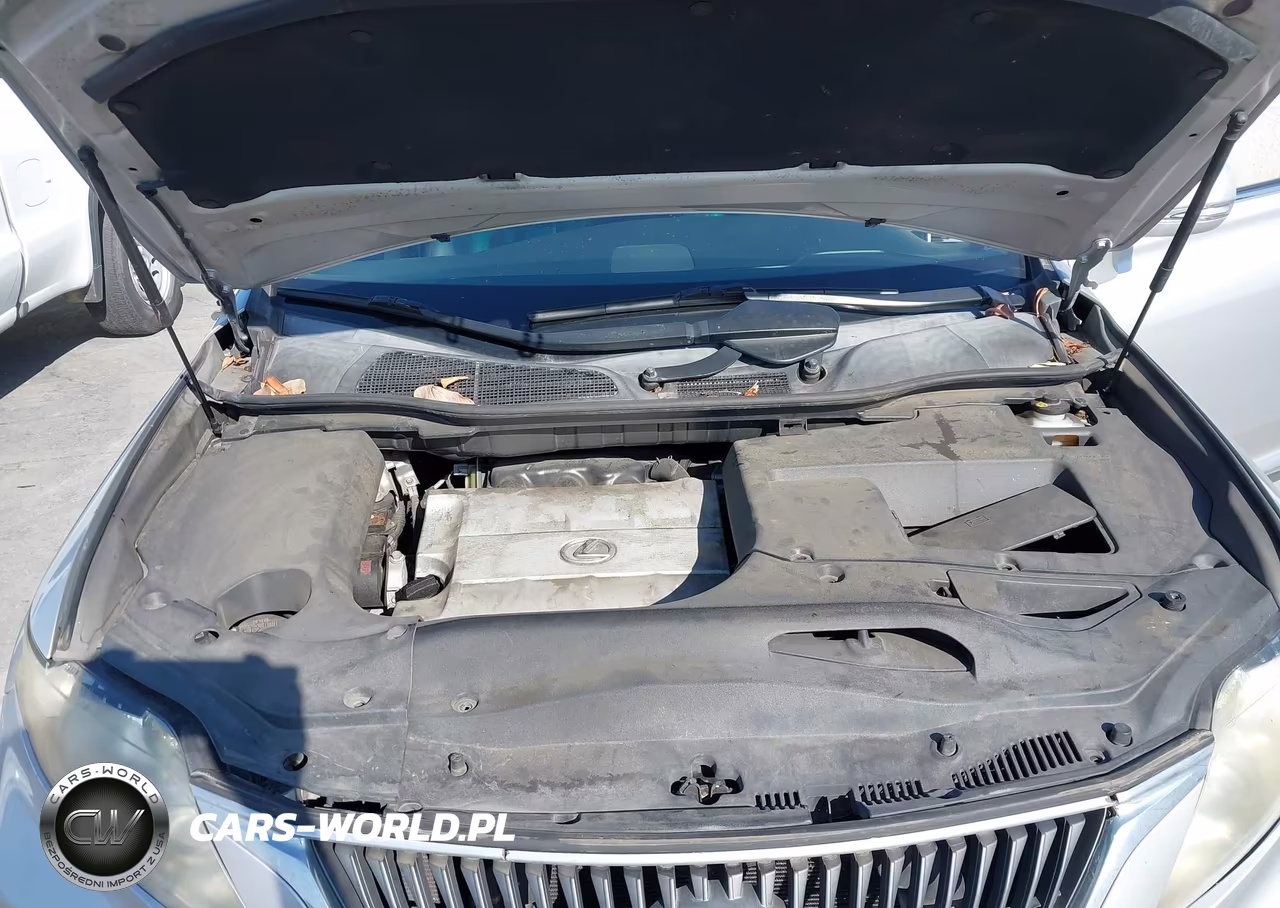 2010 Lexus Rx 350 VIN:JTJZK1BAXA2000684 - 10