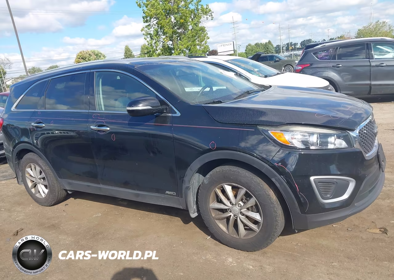 2018 Kia Sorento 2.4L Lx VIN:5XYPGDA36JG388051 - 13