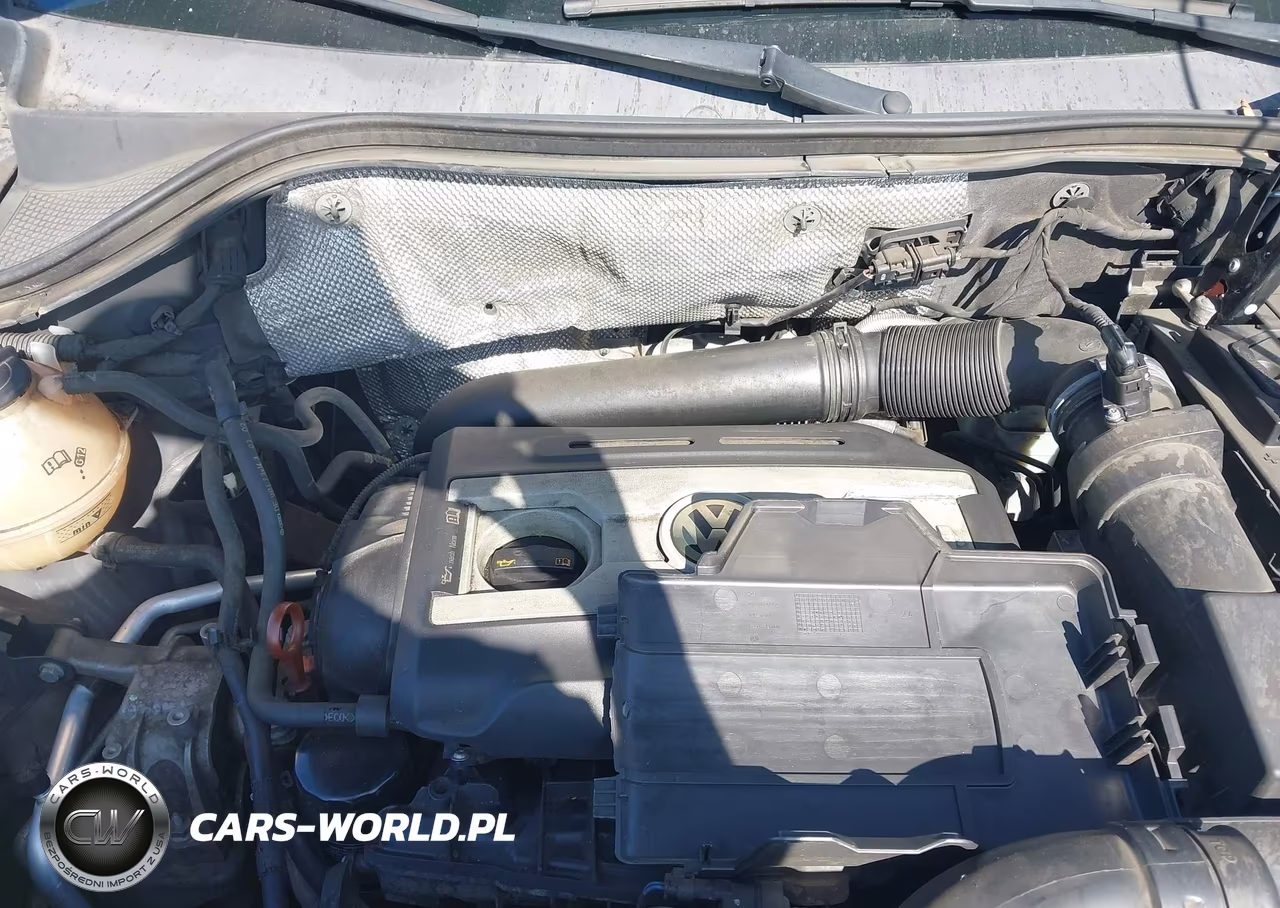 2011 Volkswagen Tiguan S VIN:WVGAV7AX7BW559972 - 10