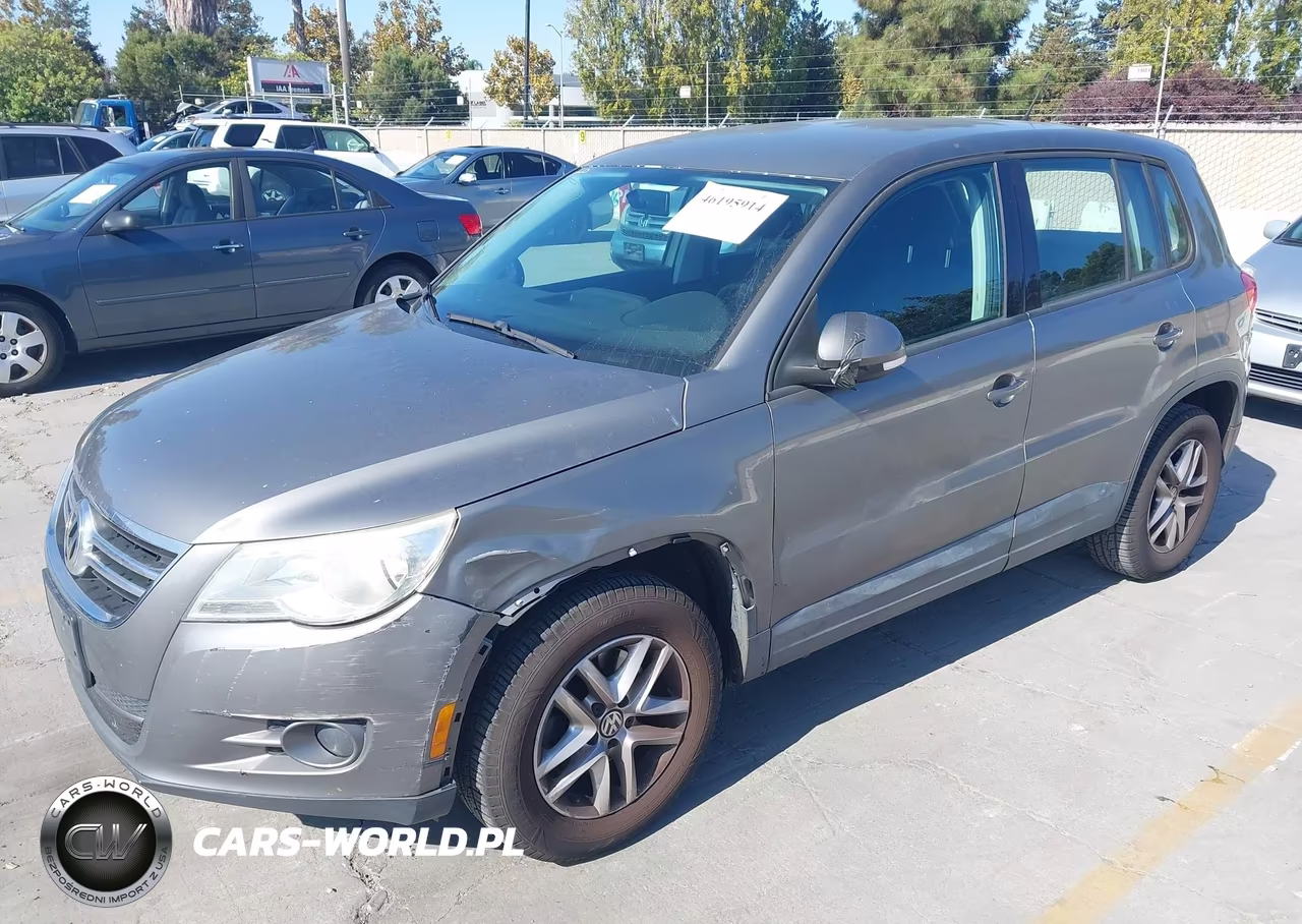 2011 Volkswagen Tiguan S VIN:WVGAV7AX7BW559972 - 2