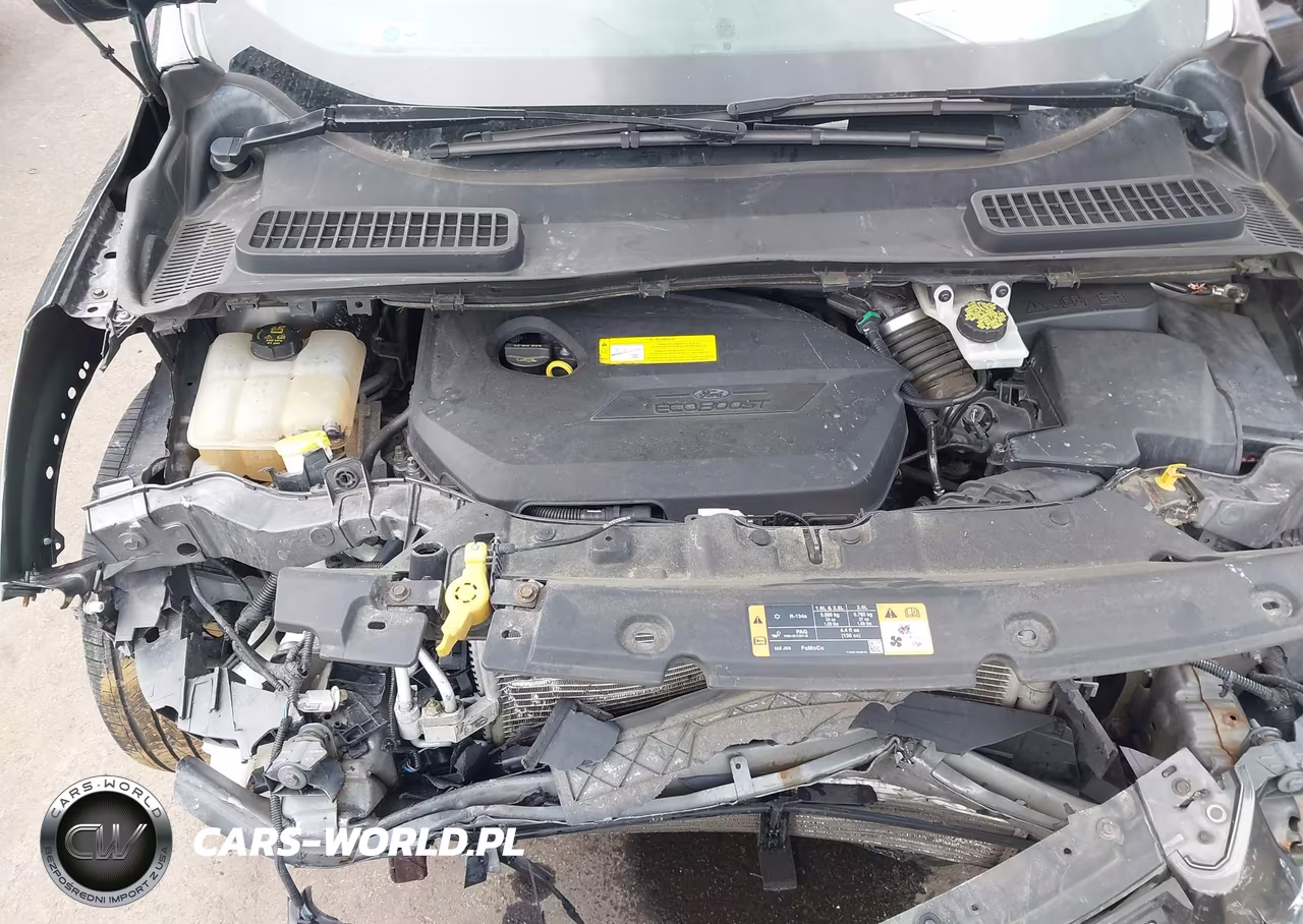 2016 Ford Escape Se VIN:1FMCU0GX9GUA36823 - 10