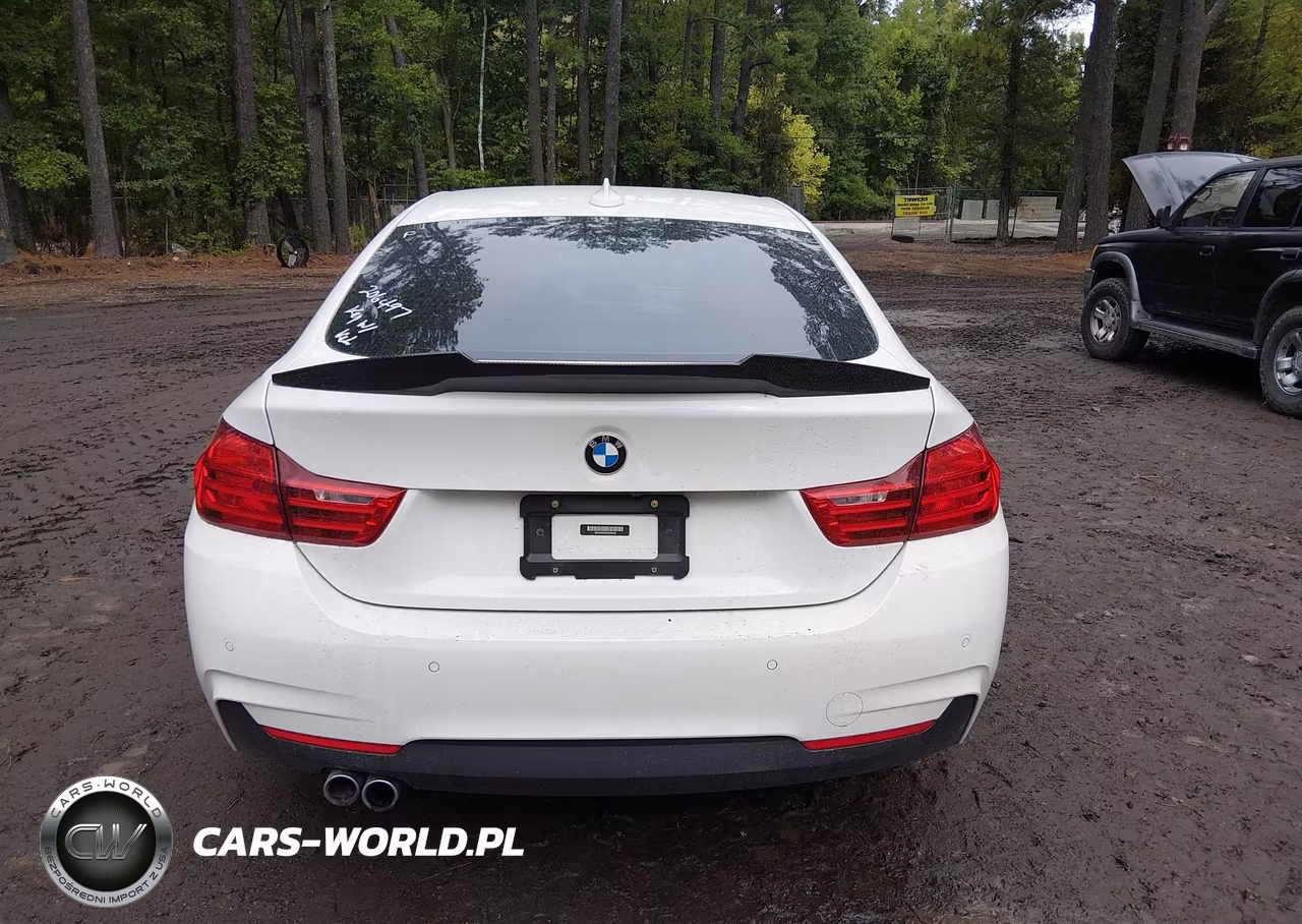 2016 BMW 4 Series 428I VIN:WBA4A9C55GG505105 - 16