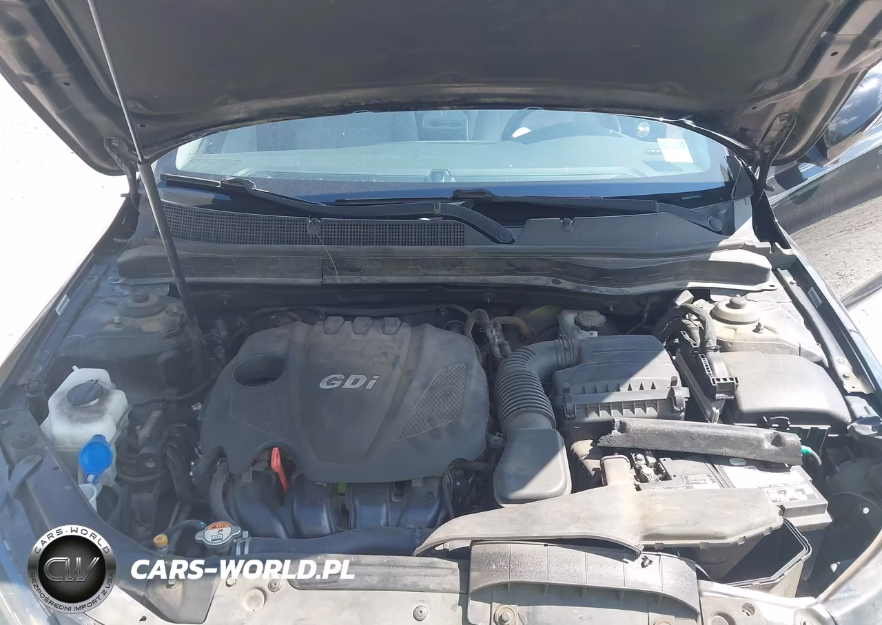 2015 Kia Optima Lx VIN:5XXGM4A77FG453982 - 10