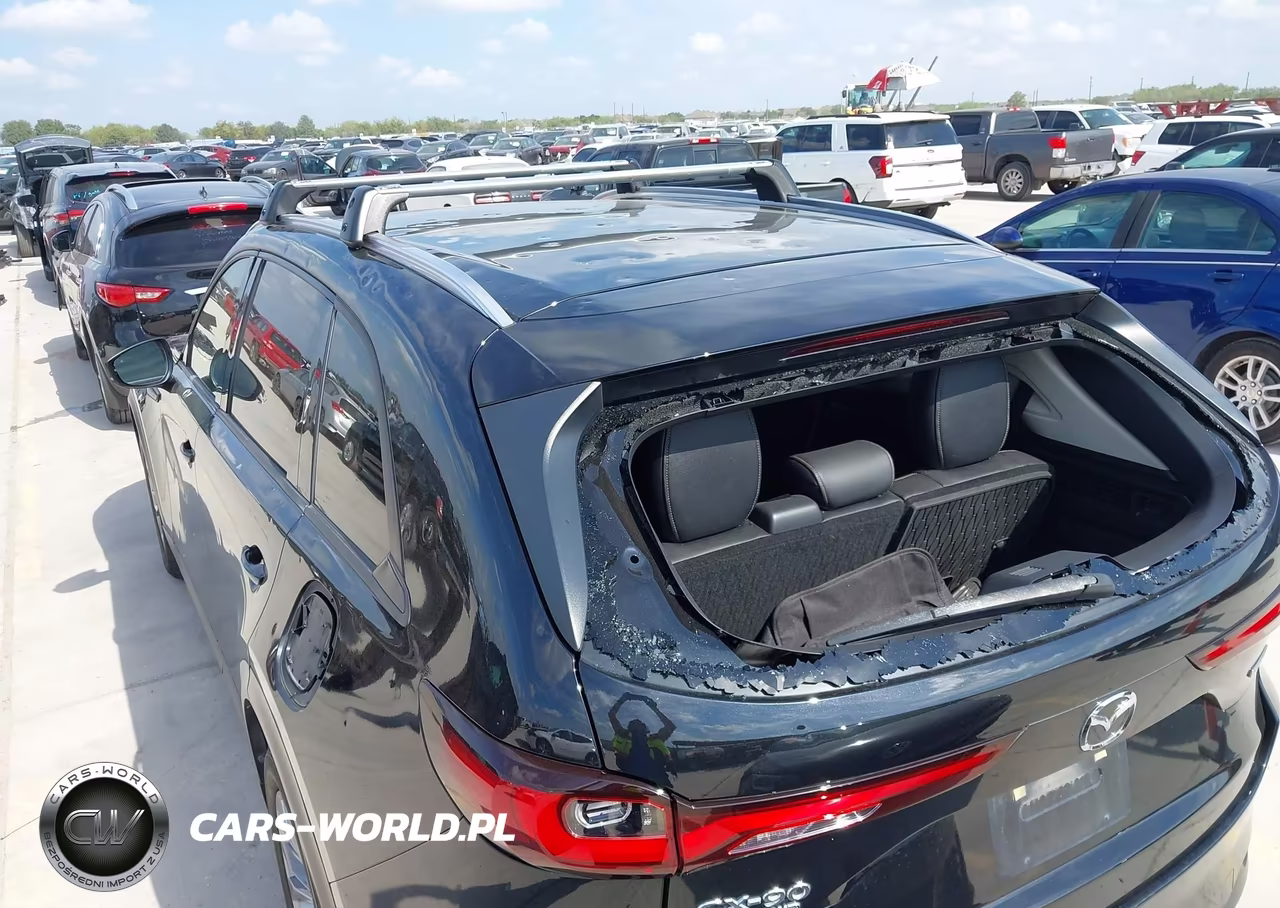 2024 Mazda Cx-90 3.3 Turbo Preferred Plus VIN:JM3KKCHD8R1104648 - 19