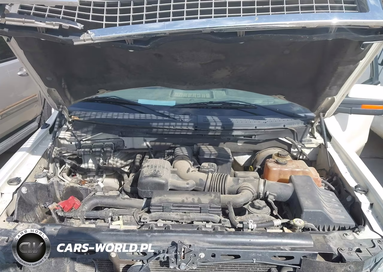 FORD F150 SUPER VIN:1FTPW14V09FB03597 - 10