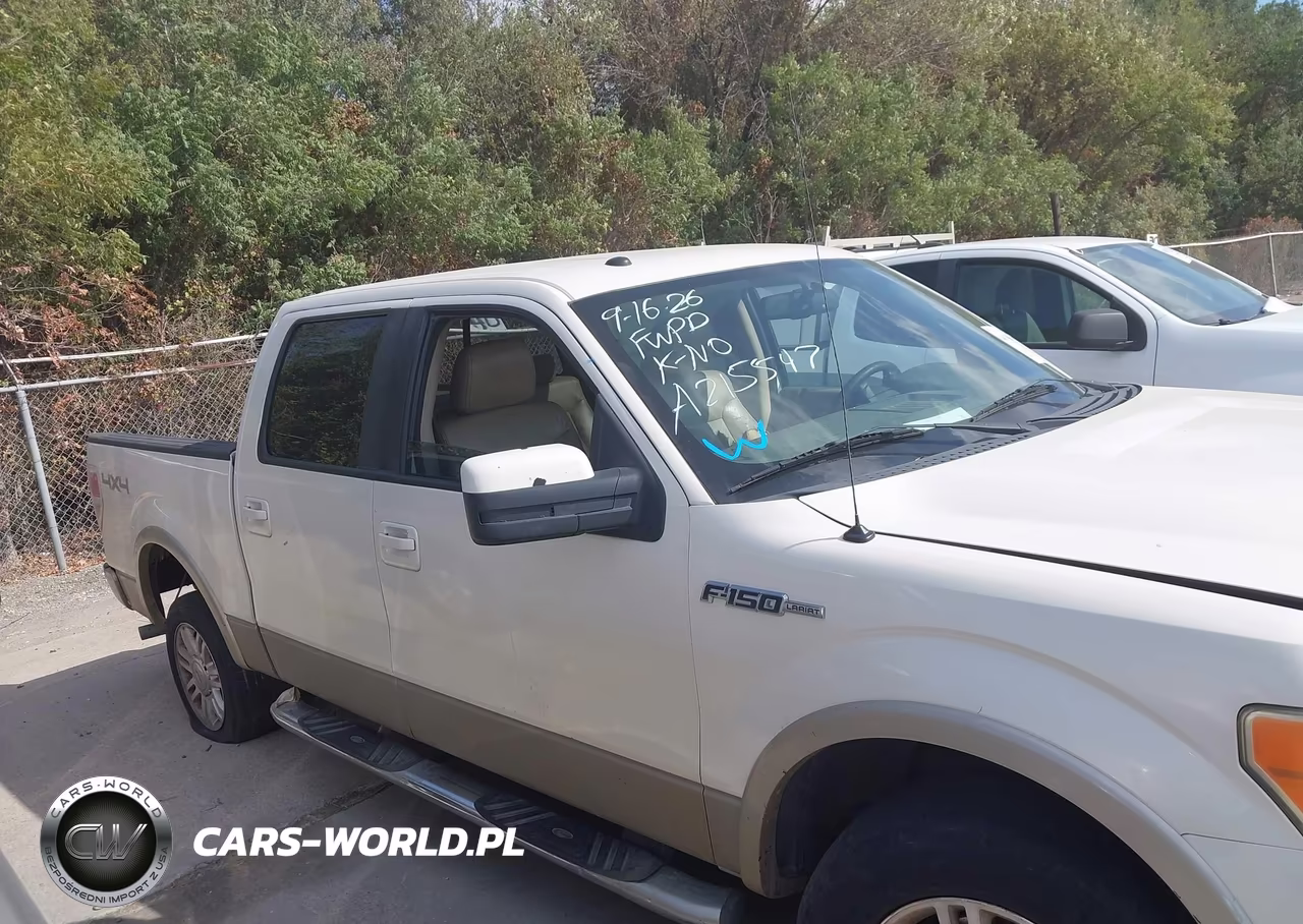 FORD F150 SUPER VIN:1FTPW14V09FB03597 - 12