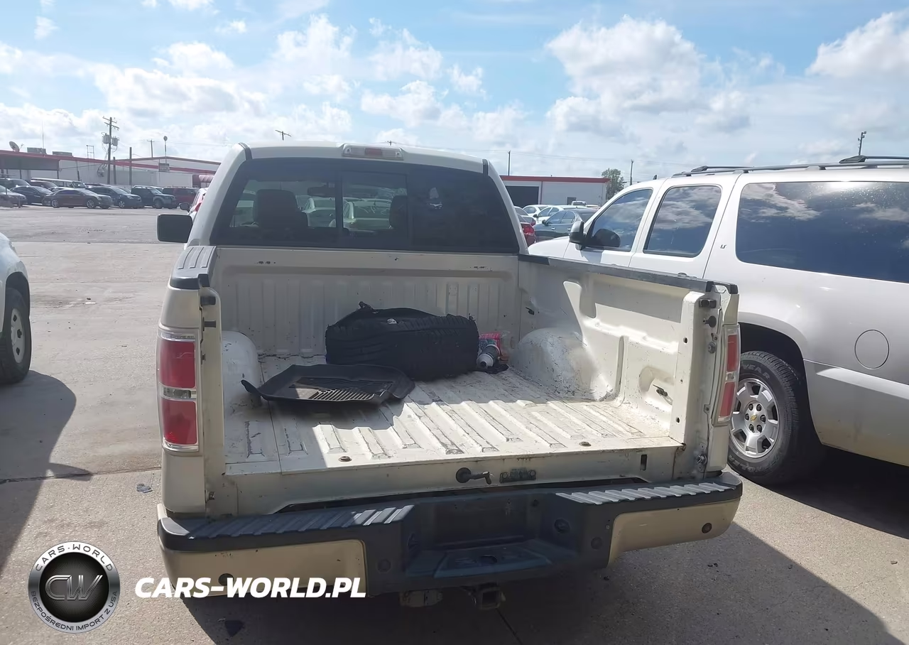 FORD F150 SUPER VIN:1FTPW14V09FB03597 - 15