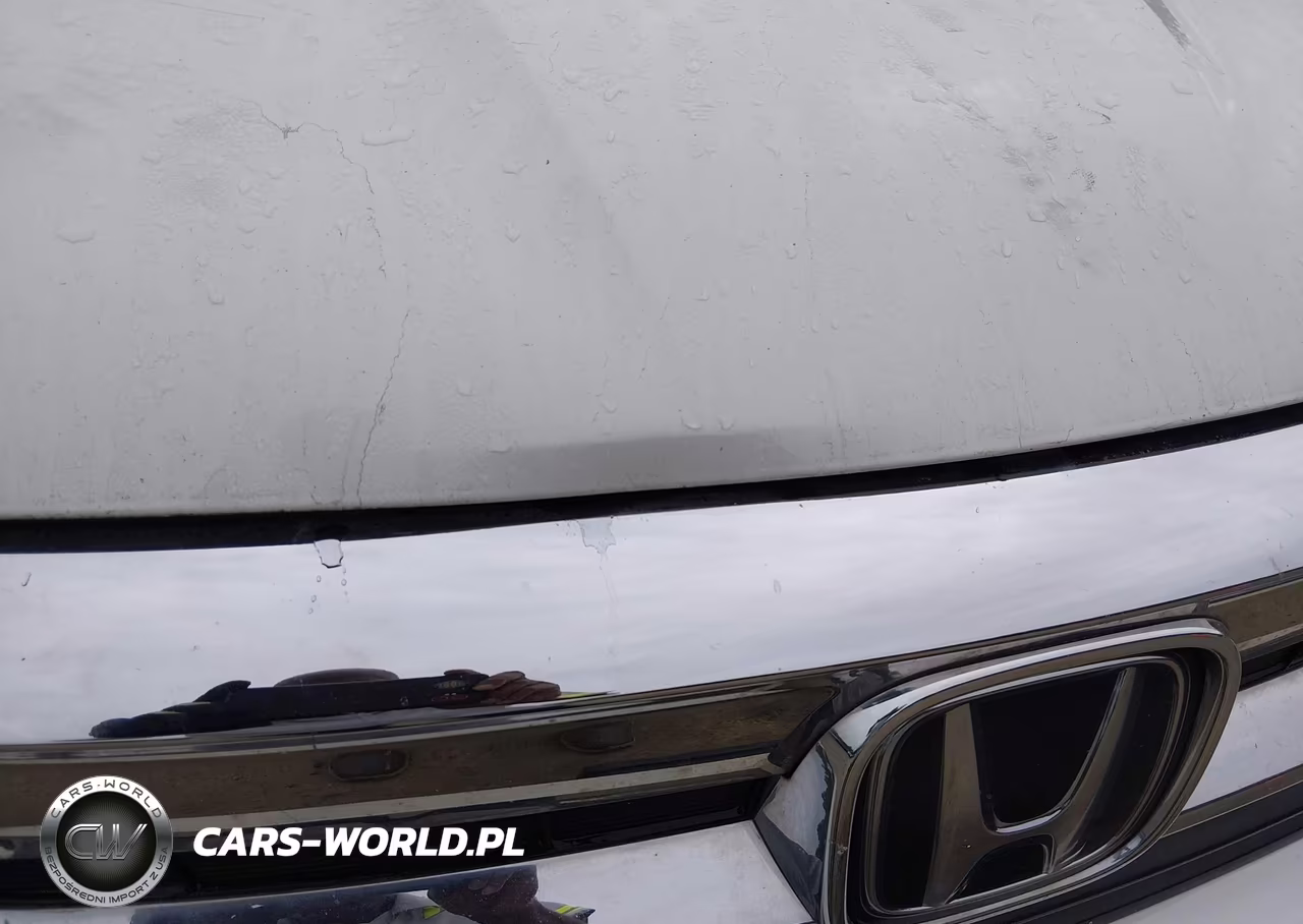 2019 Honda Pilot Lx VIN:5FNYF6H14KB085821 - 16