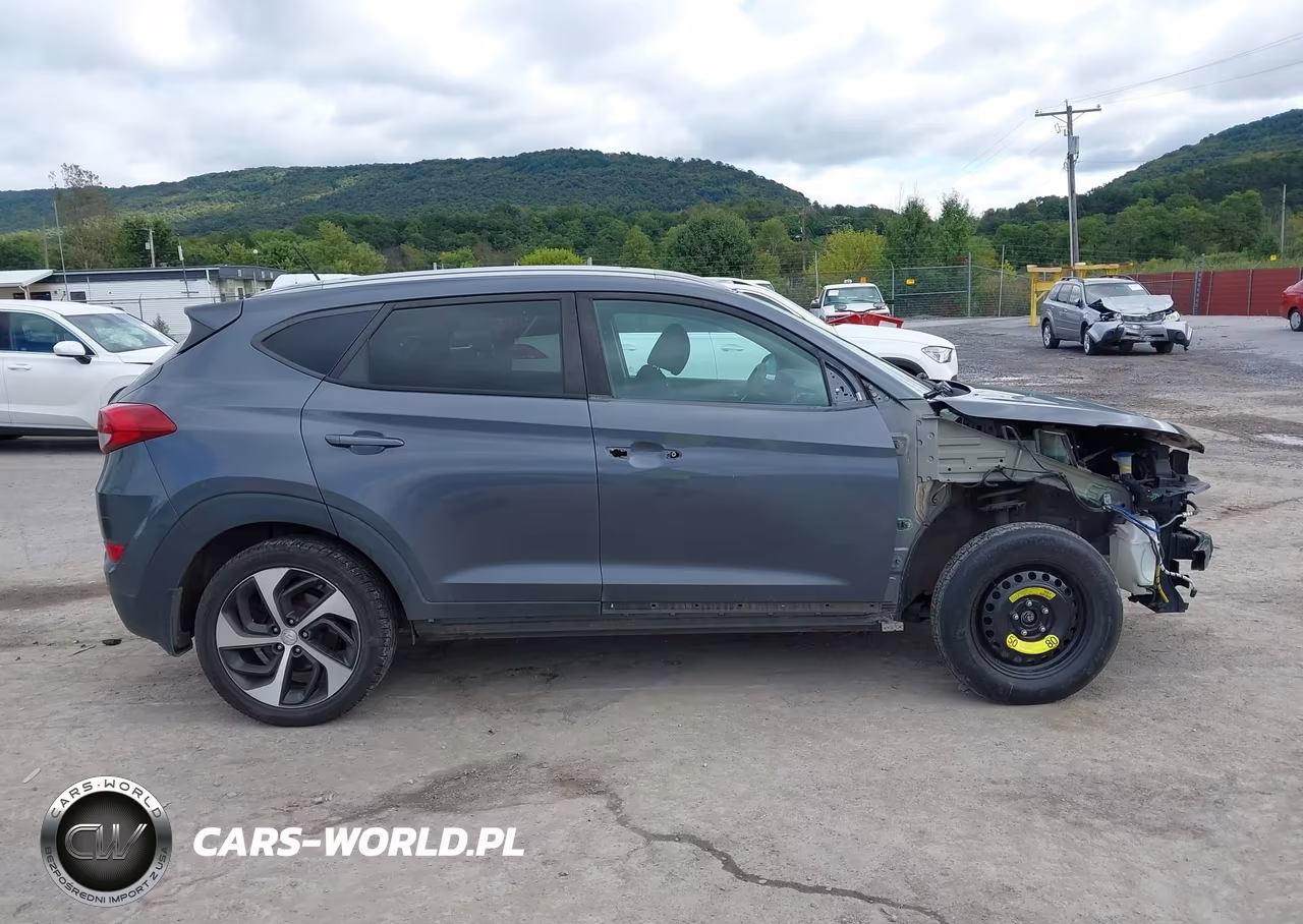 2017 Hyundai Tucson Sport VIN:KM8J3CA25HU388078 - 14